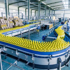 Food & Beverage Processing Industry