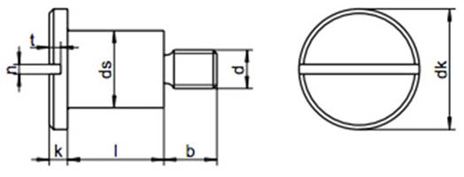 DIN 923 Slotted Pan Head Screws WIth Shoulder